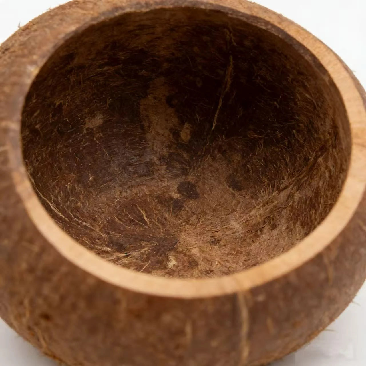 Hide & Rest Hamster Nest for Hamsters - Realistic Coconut Shell Texture Durable Brown Material