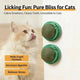 Edible Catnip Chew Ball - Rotating Design, Wall-Mountable, Green Plastic Case
