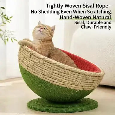 Watermelon Cat Scratcher: Rest & Scratch, Cute Fruit Design, Durable Surface (Green-Red)