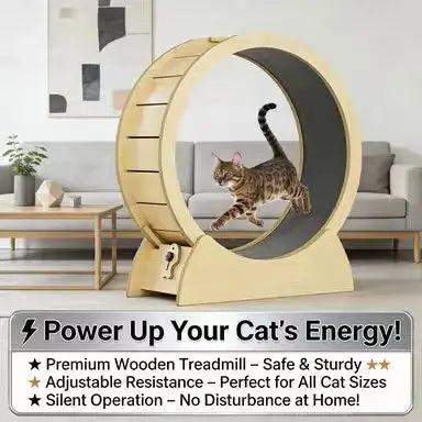 Circle-Shaped Cat Scratcher: Rest & Scratch, Wooden Frame, Durable Surface (Beige-Gray)
