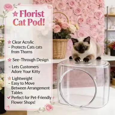Transparent Cat Bed: Cozy Rest, Clear Design, Modern Style (Acrylic)