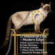 Escape-Proof Cat Harness: Faux Fur Trim, Warm Plush Fabric