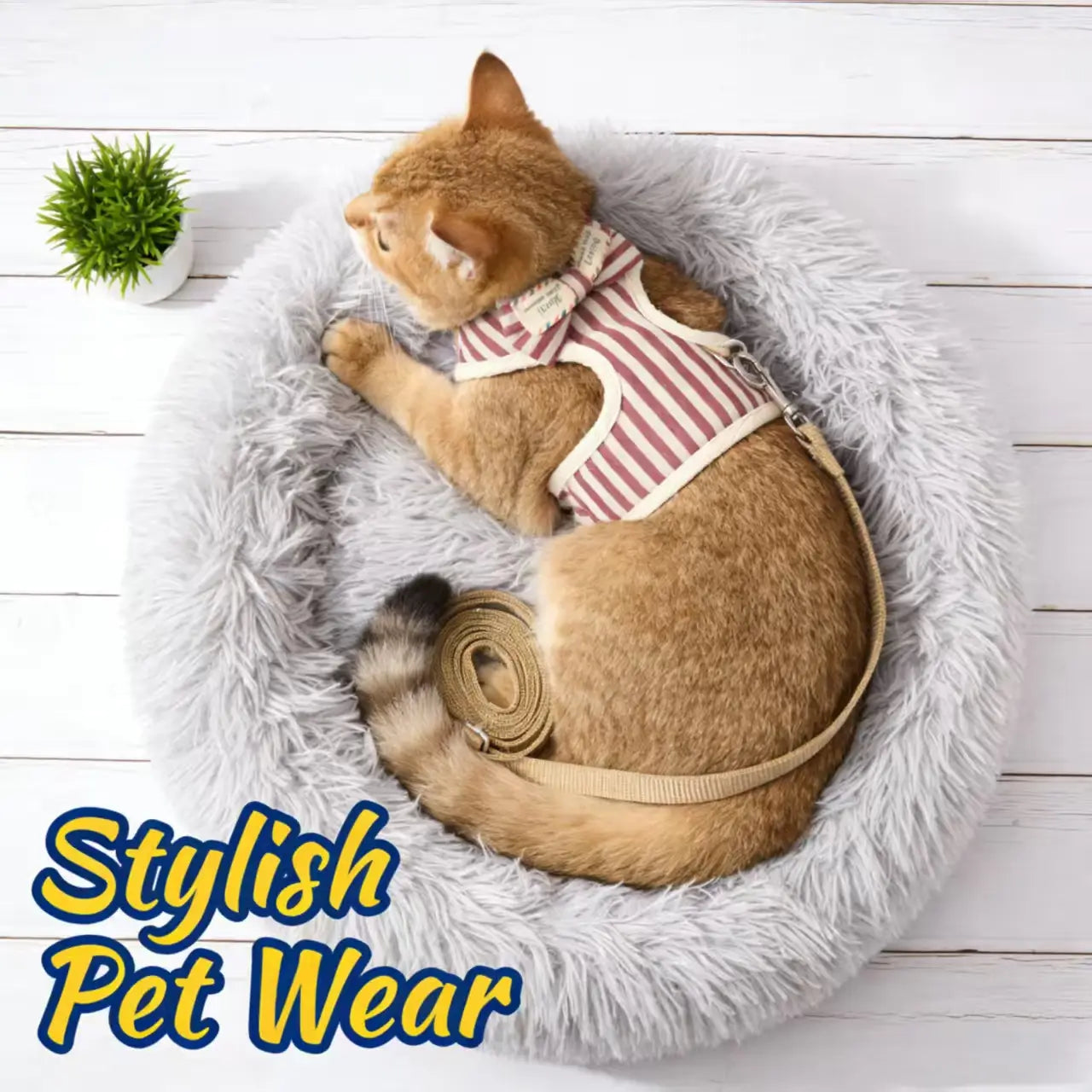 Escape-Proof Cat Harness & Leash: Stripe Print & Bow Accent