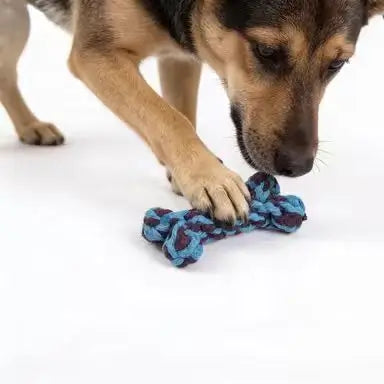Chew-Resistant Rope Dog Toy: Bone Shape, Blue & Purple Braided Material