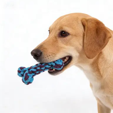 Chew-Resistant Rope Dog Toy: Bone Shape, Blue & Purple Braided Material