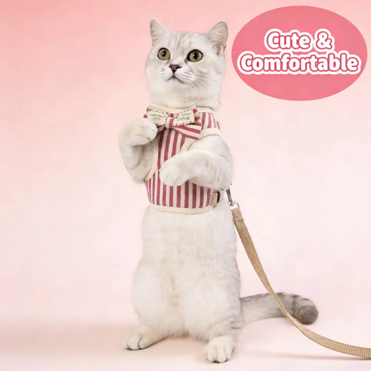 Escape-Proof Cat Harness & Leash: Stripe Print & Bow Accent