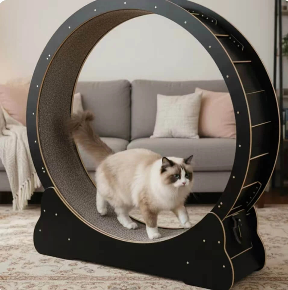 Indoor Cat Exercise Wheel - Carpeted Scratching Surface, Sturdy Wood Frame, Black