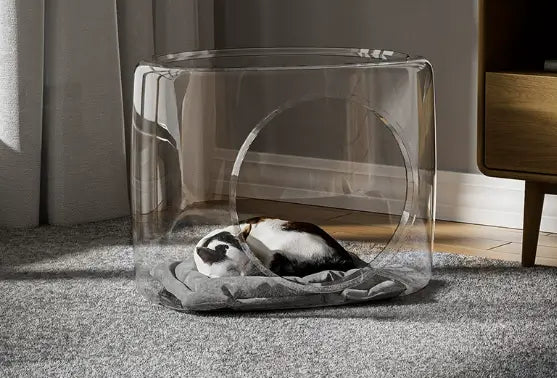 Transparent Cat Bed: Cozy Rest, Clear Design, Modern Style (Acrylic)