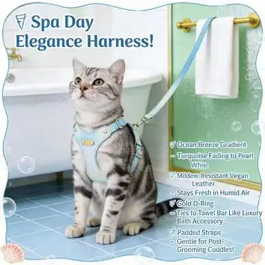 Stylish Escape-Proof Cat Harness & Leash: Gradient Color, Adjustable Fit